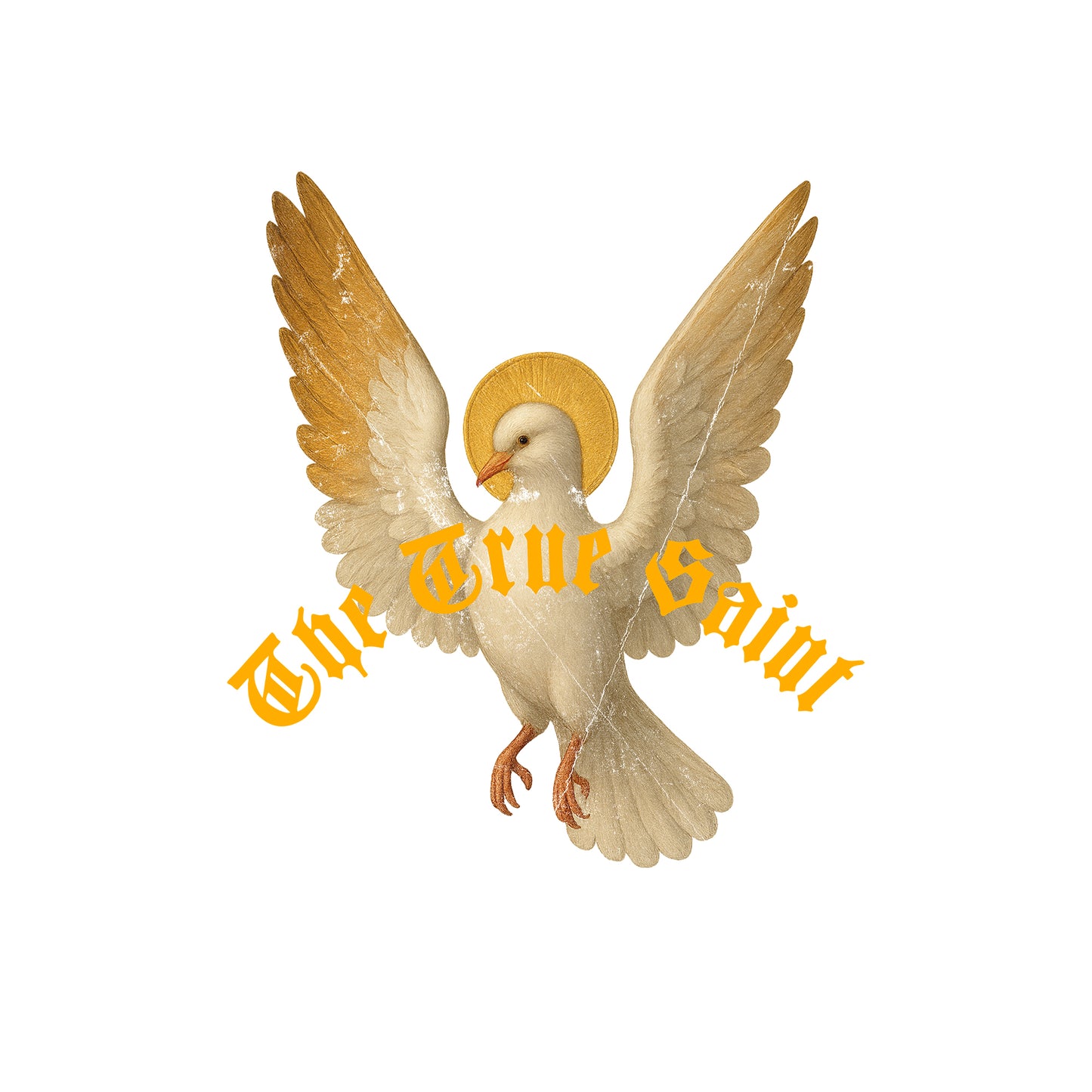 HOLY DOVE TEE